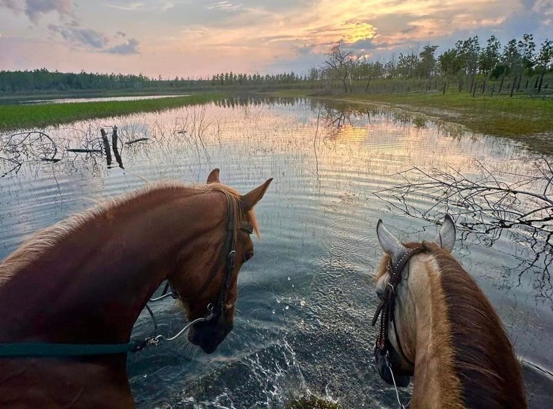 Sunshine Riding Trails (Chipley)