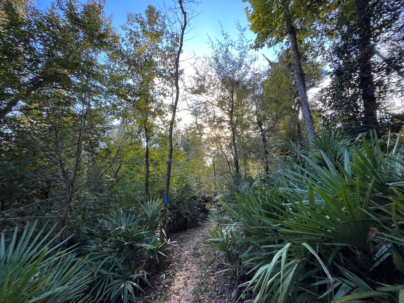 Torreya State Park – Bristol