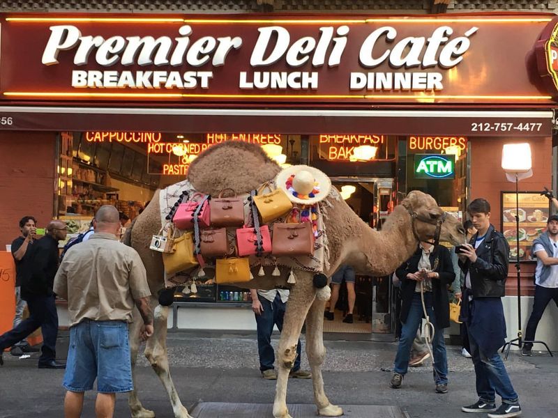 Premier Deli