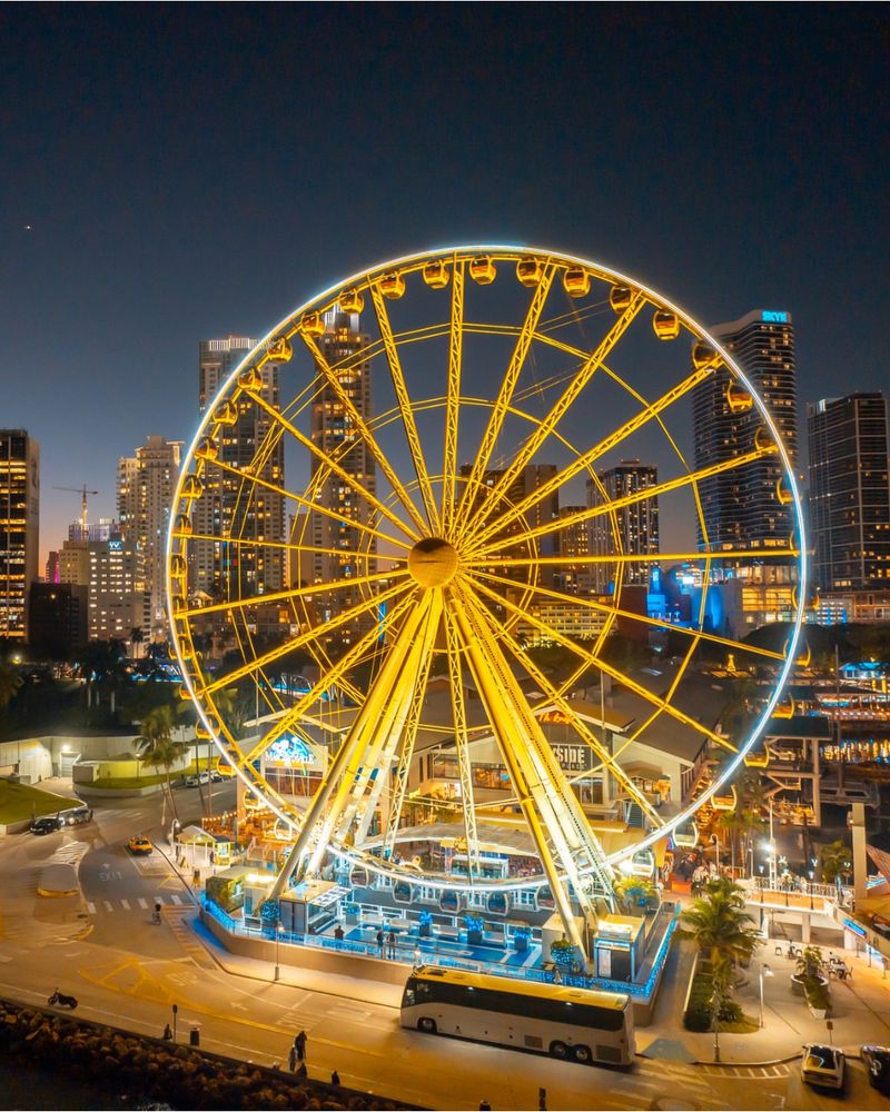 Ride Skyviews Miami Wheel for city lights + bay views