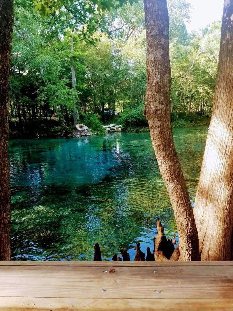 Gainesville + High Springs