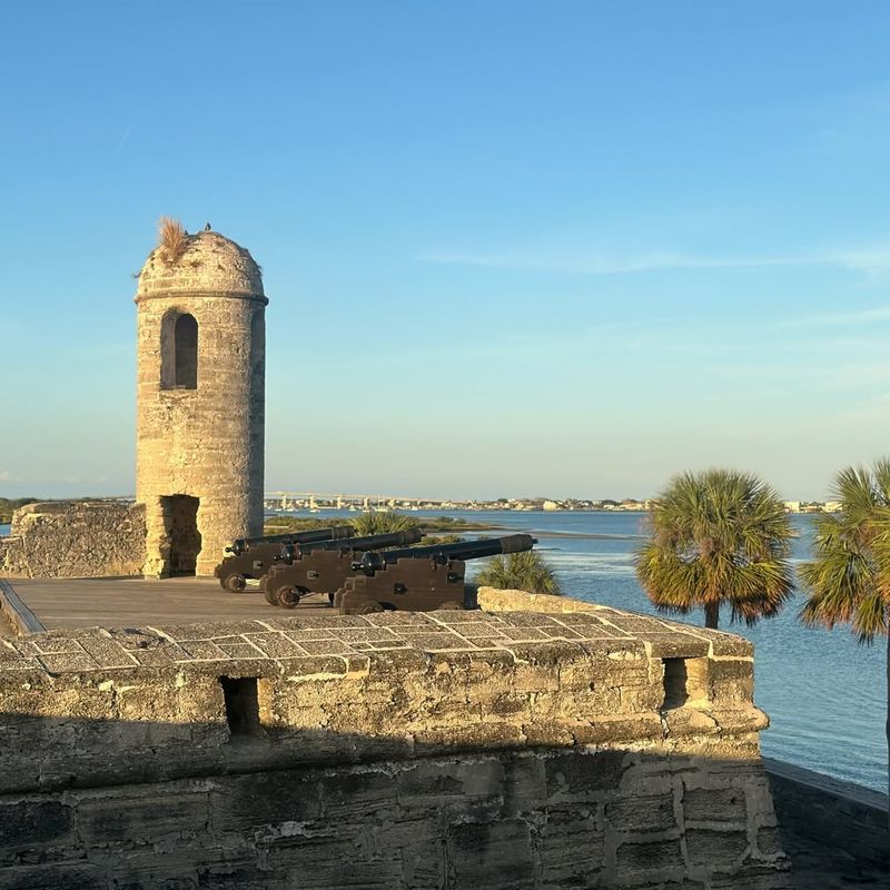 The Watchtower Sentinel's Warning