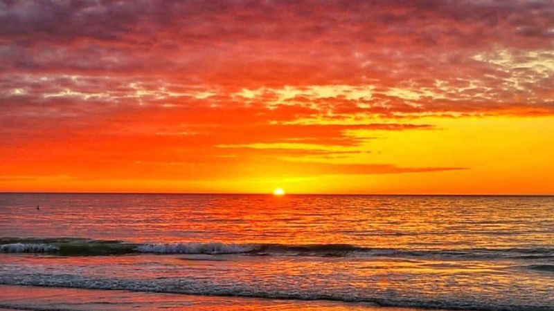 Honeymoon Island State Park – Dunedin