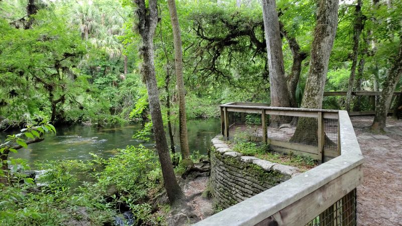 Hillsborough River State Park