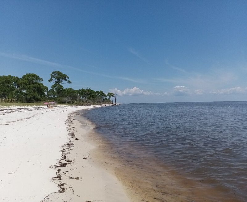 Bald Point State Park (Florida's Forgotten Coast)