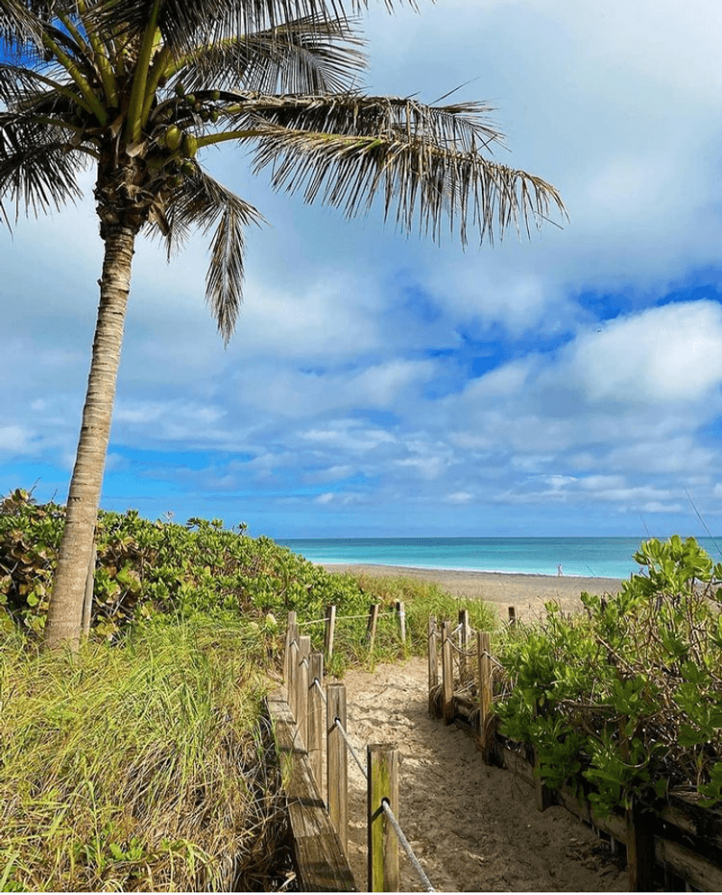 Why This Town Is a Must-Visit for Wildlife Lovers