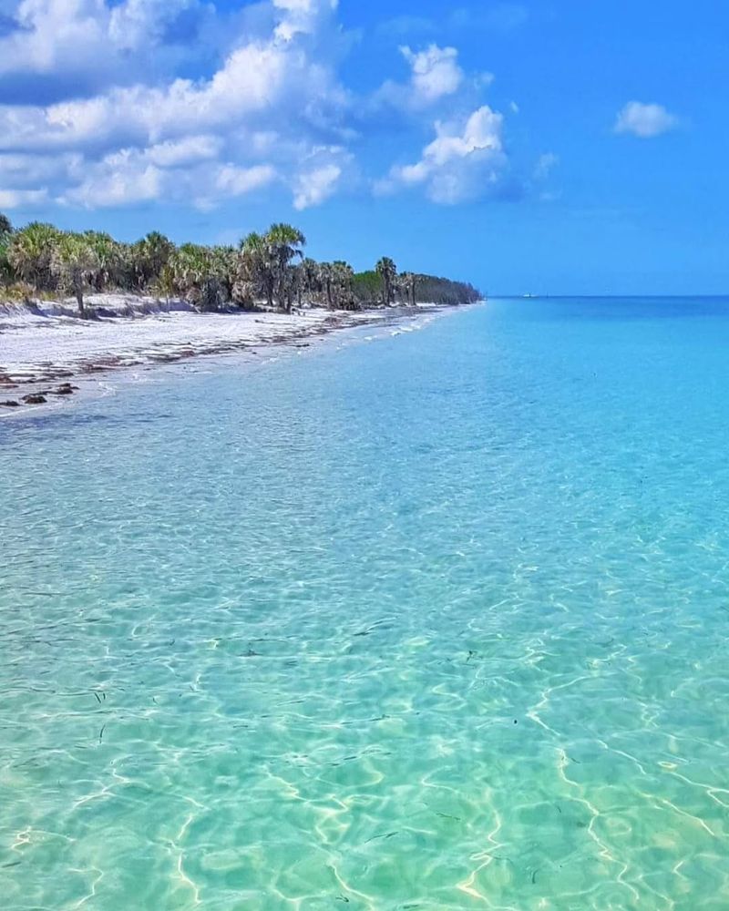 Caladesi Island State Park – Dunedin/Clearwater