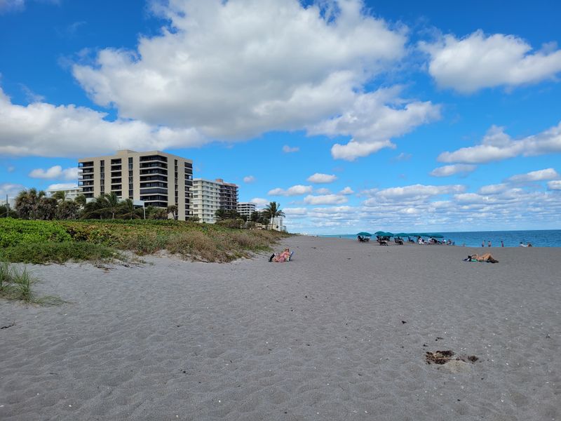 What Makes This Coastline Ideal for Sea Turtle Nesting