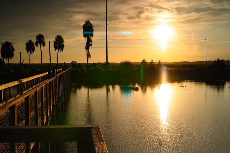 Paynes Prairie Preserve State Park (Micanopy/Gainesville)