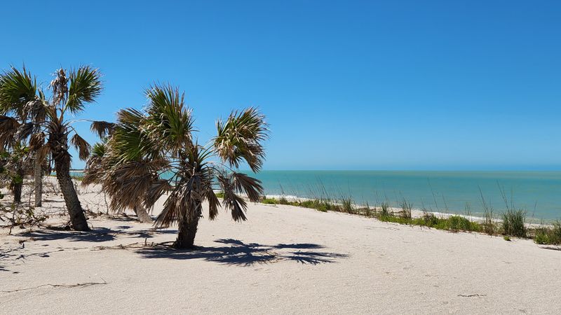 Cayo Costa State Park (near Captiva)