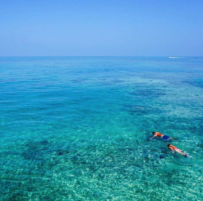 Snorkeling in Postcard-Blue Water: What You'll See Under the Surface