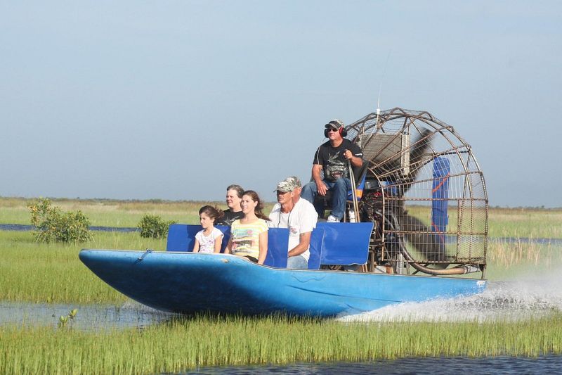 Airboat Racing Through the Everglades