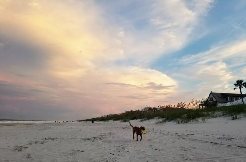 Ponte Vedra Beach — Ponte Vedra