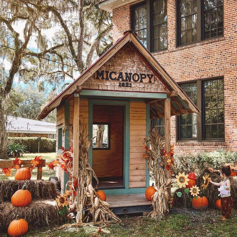 Micanopy