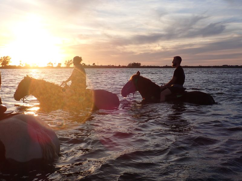 Cponies Beach Horseback Rides (Bradenton)