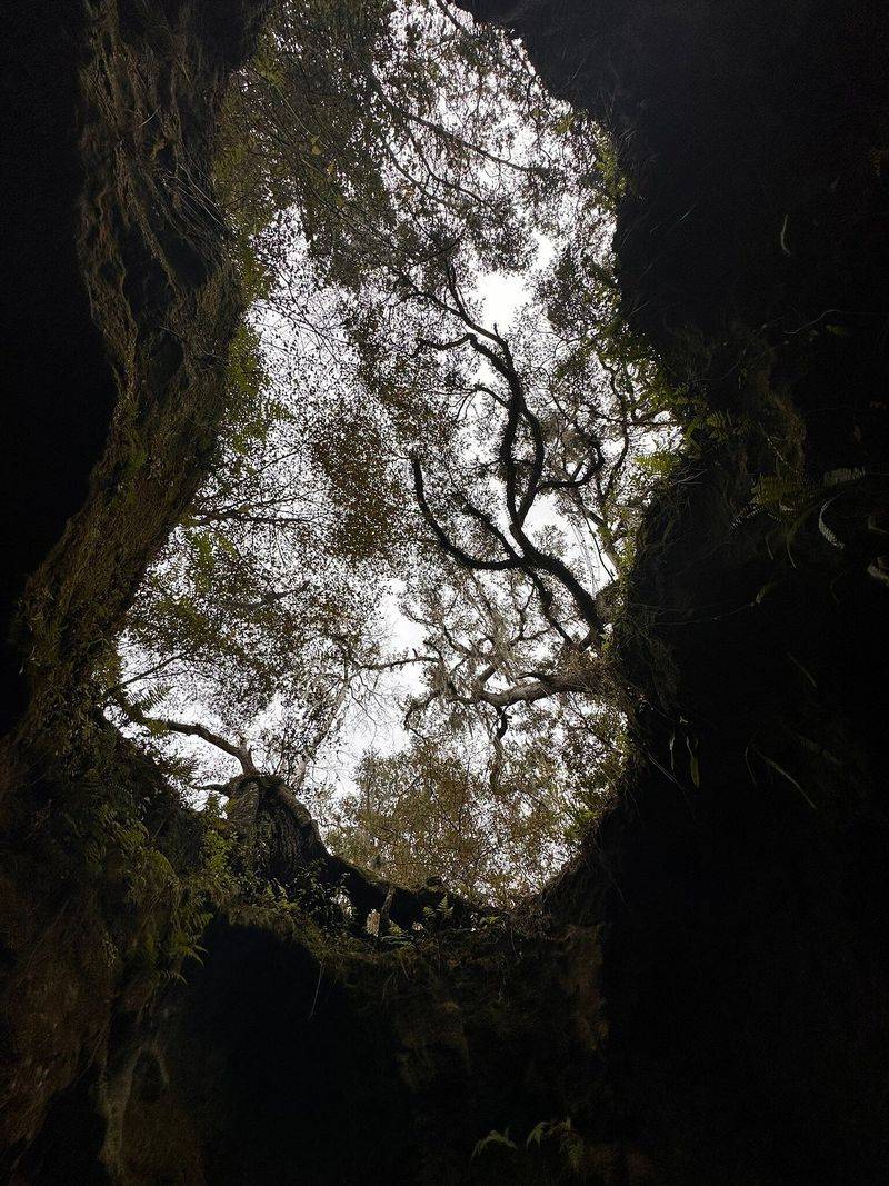 Dames Cave – Citrus County, FL