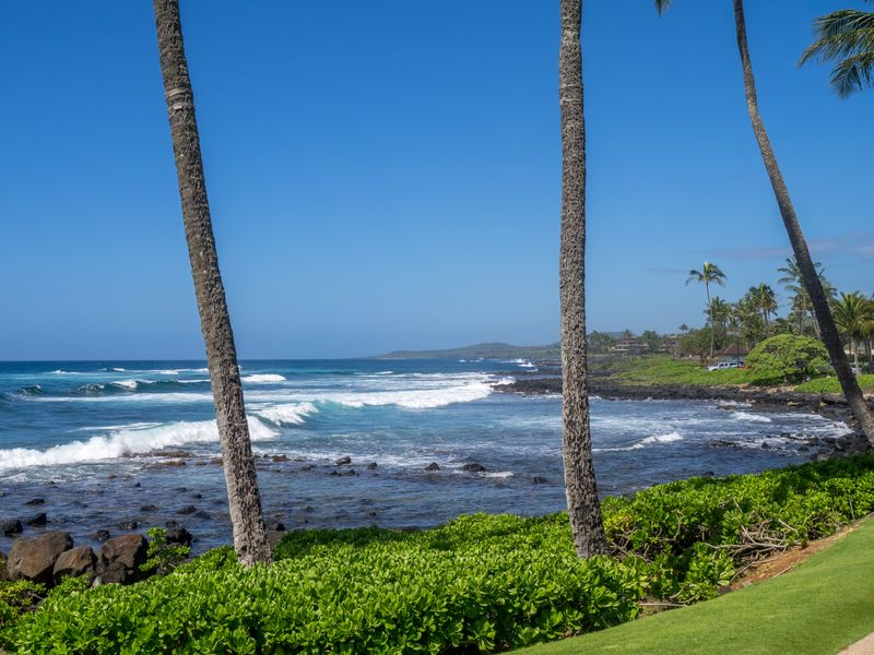 Relax at Poipu Beach Park (Kauai)