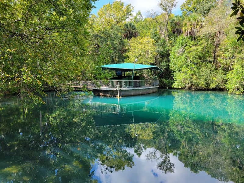 Welcome to Homosassa Springs: One of Florida's Most Unique Wildlife Parks