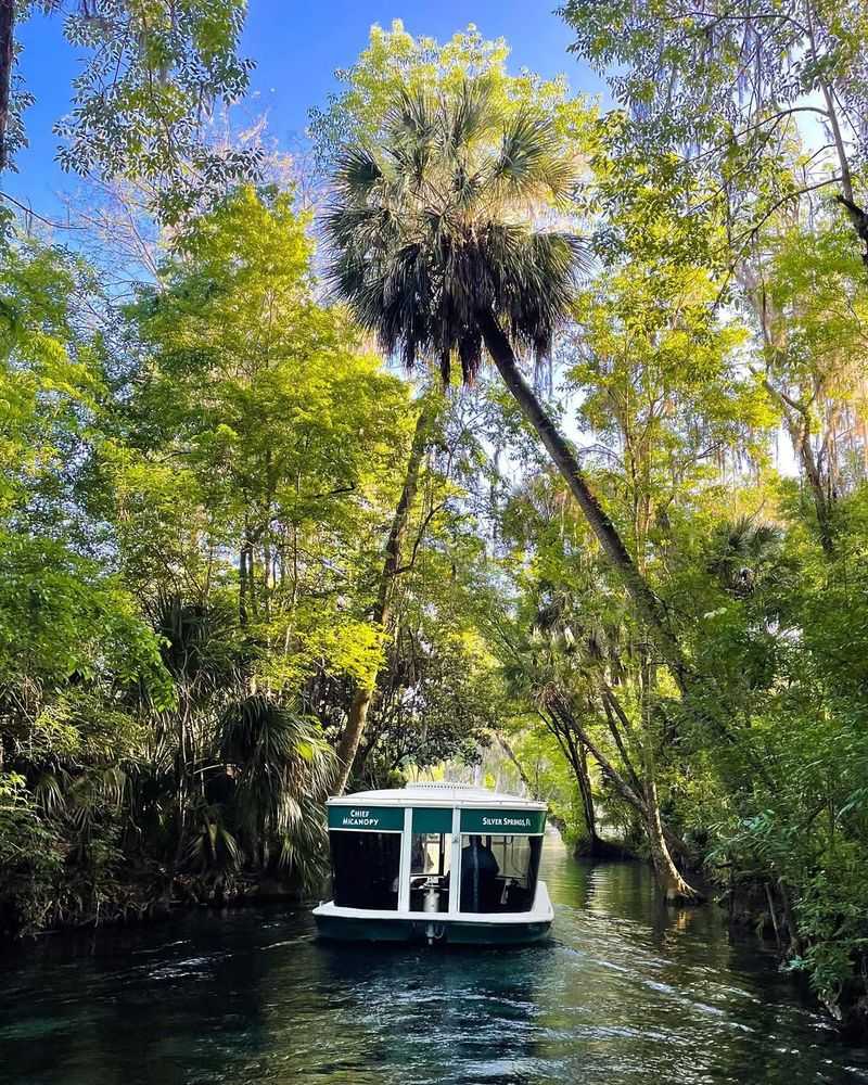 Silver Springs State Park (Ocala)