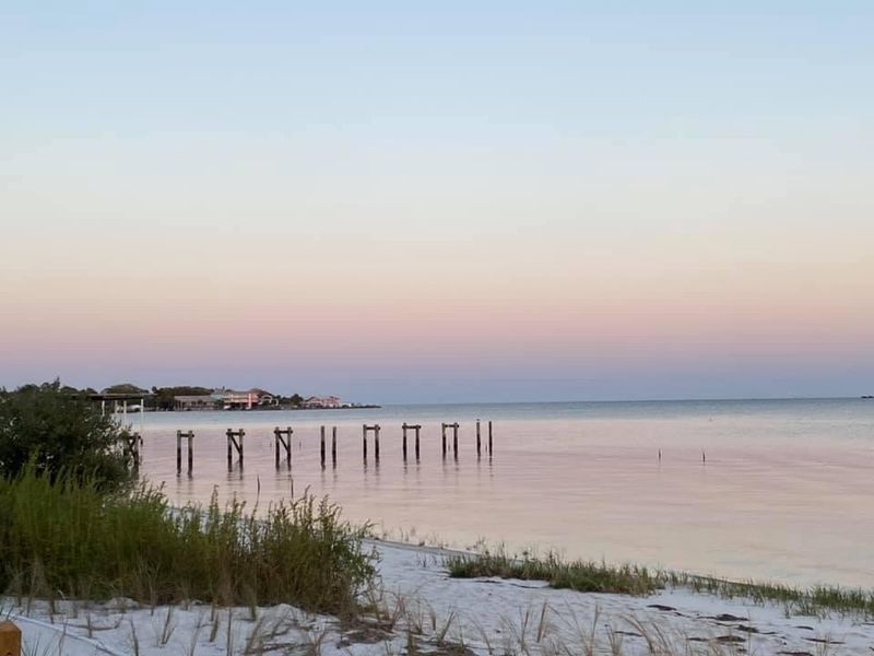 Cedar Key Scrub State Reserve (Cedar Key)