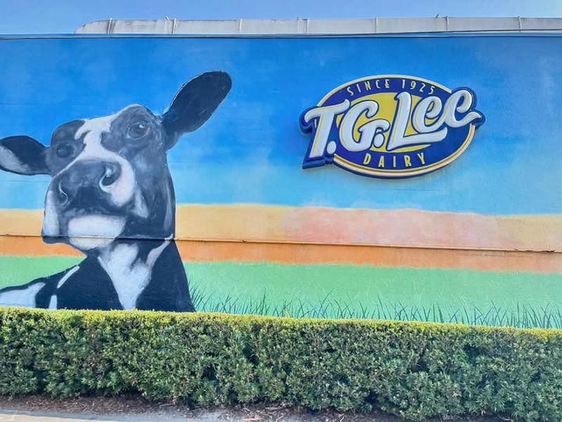 Explore The Milk District & downtown murals
