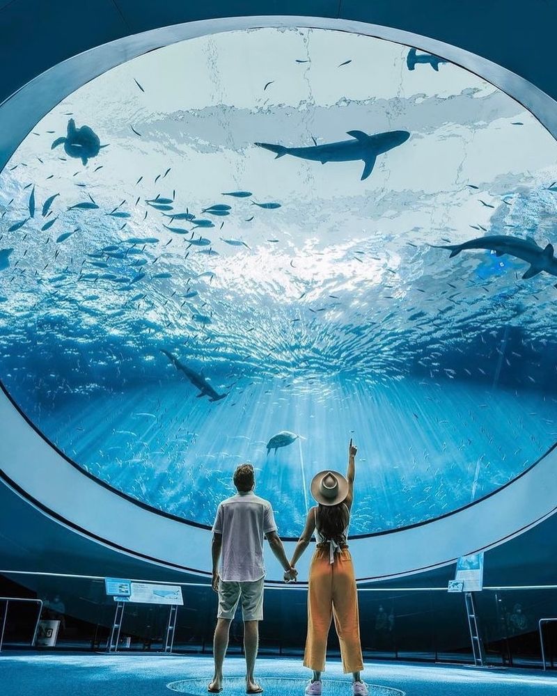 Discover the Frost Museum of Science next door