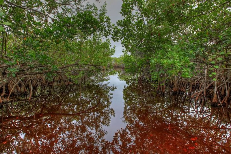 Everglades National Park — South Florida