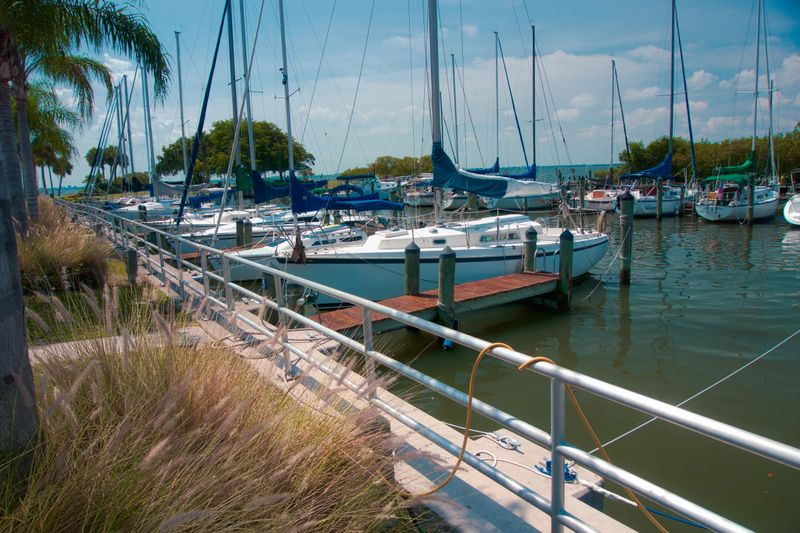 Safety Harbor