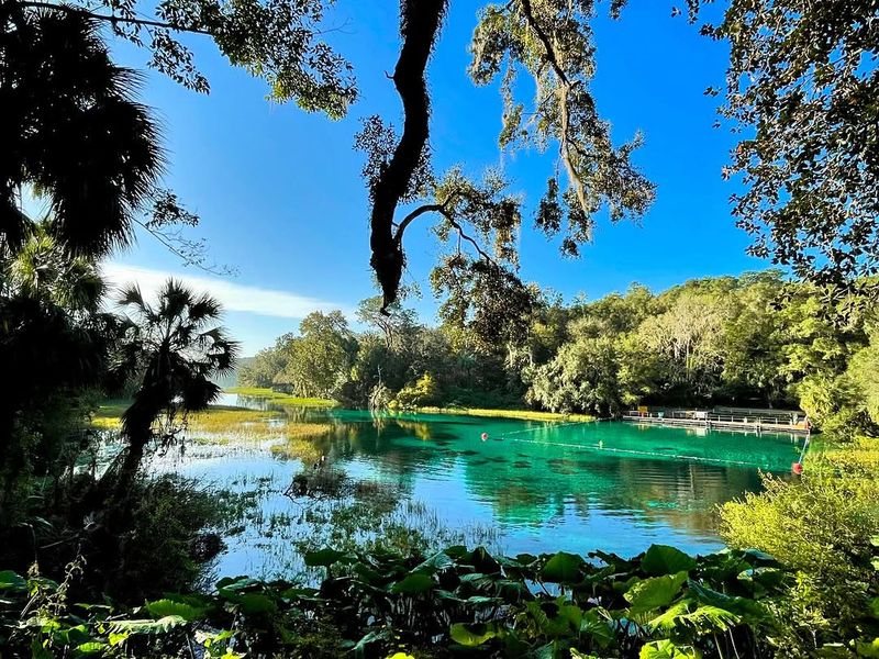 Rainbow Springs State Park – Dunnellon, FL