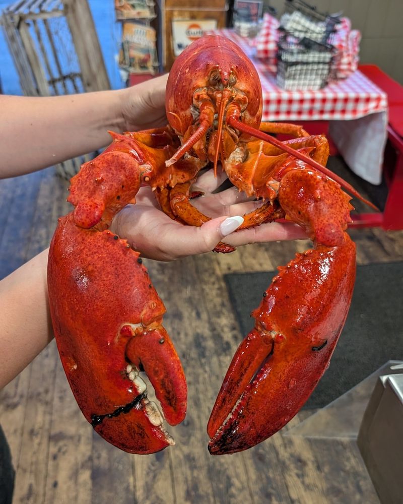 Jameson Point Lobster
