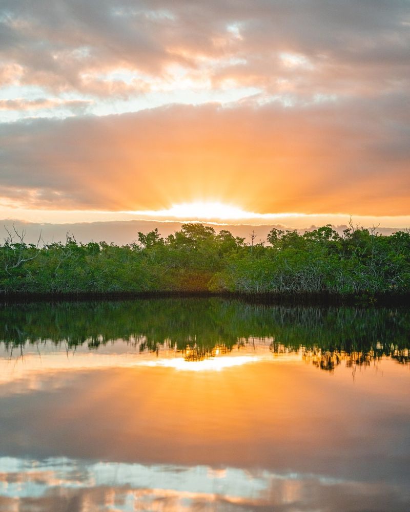 Everglades National Park
