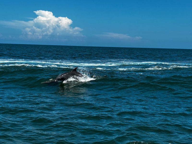 Clearwater Harbor — Clearwater, FL