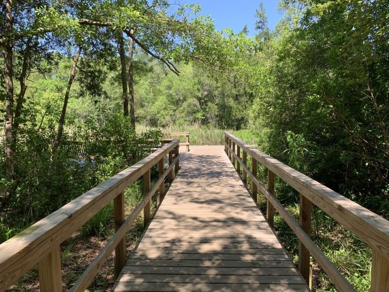 Day Trip or Picnic at a Nature Preserve