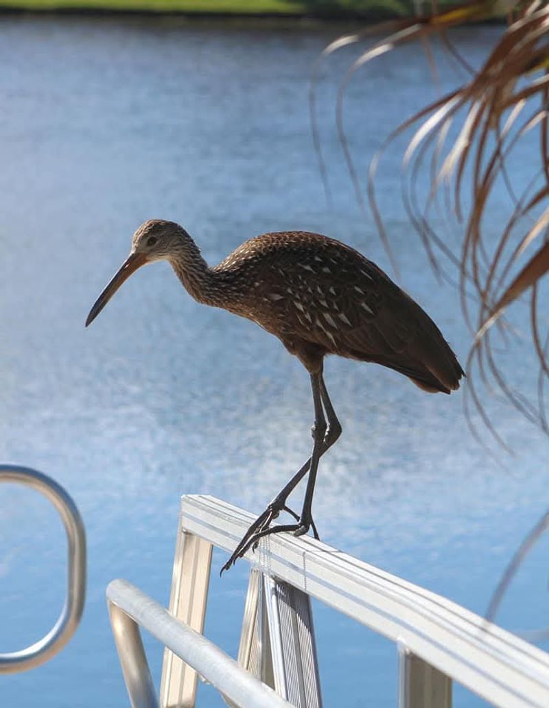 What to Do Beyond Butterflies in Coconut Creek