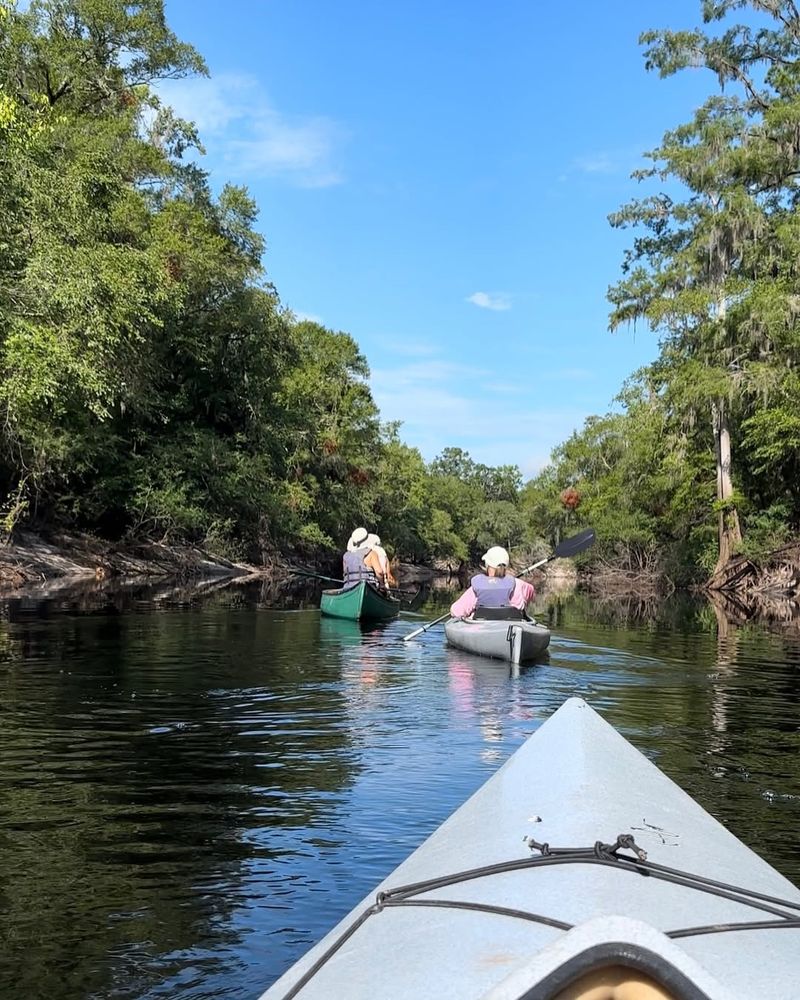 Suwannee River (Northwest Florida)