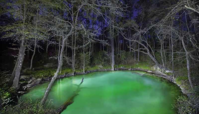 Leon Sinks Geological Area – Near Tallahassee, FL
