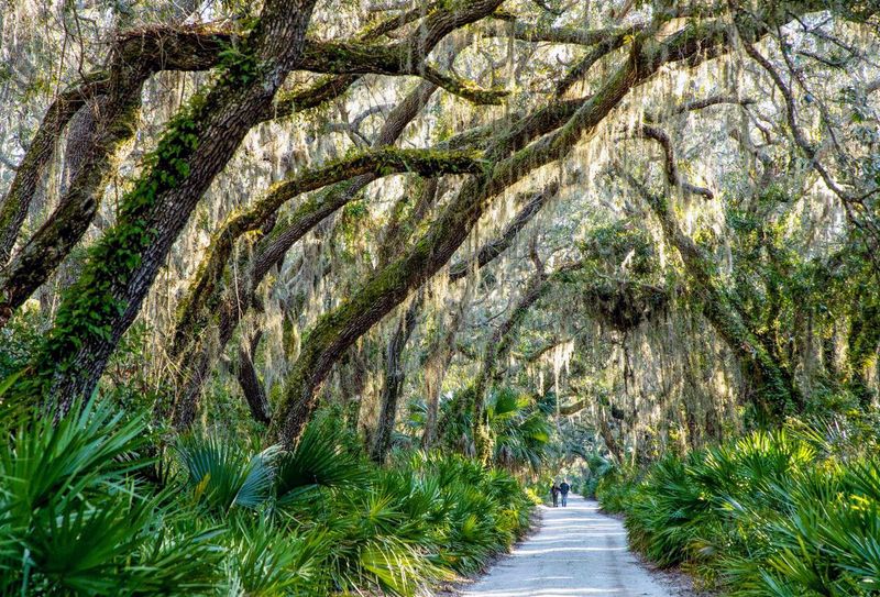 Ride the Ferry to Cumberland Island