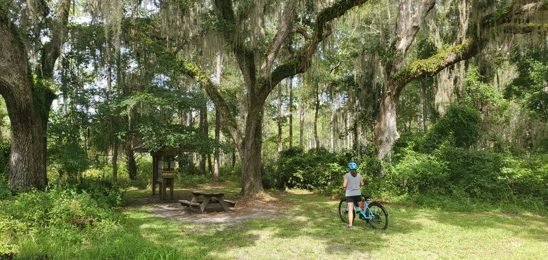 Gainesville-Hawthorne State Trail – Gainesville