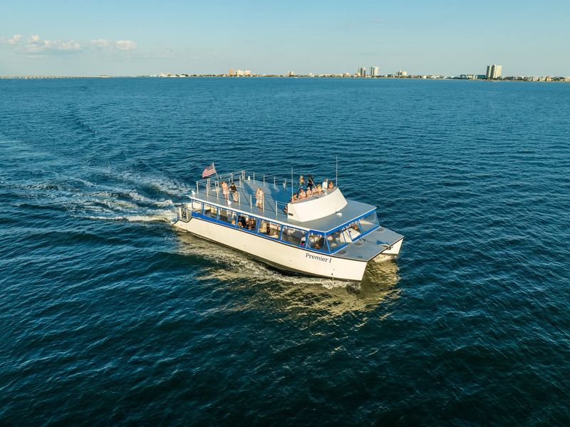 Dolphin Cruise & Water Adventures