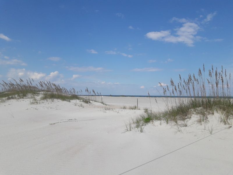 Anastasia State Park