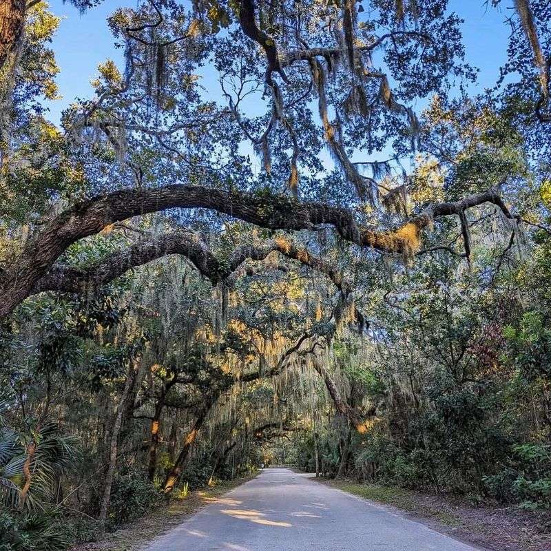Hike or bike Florida State Parks trails