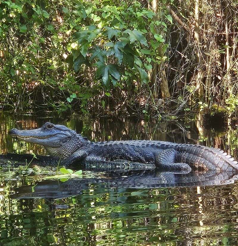 Making a Day of It Nearby Eats, Stops, and Other Things to Do