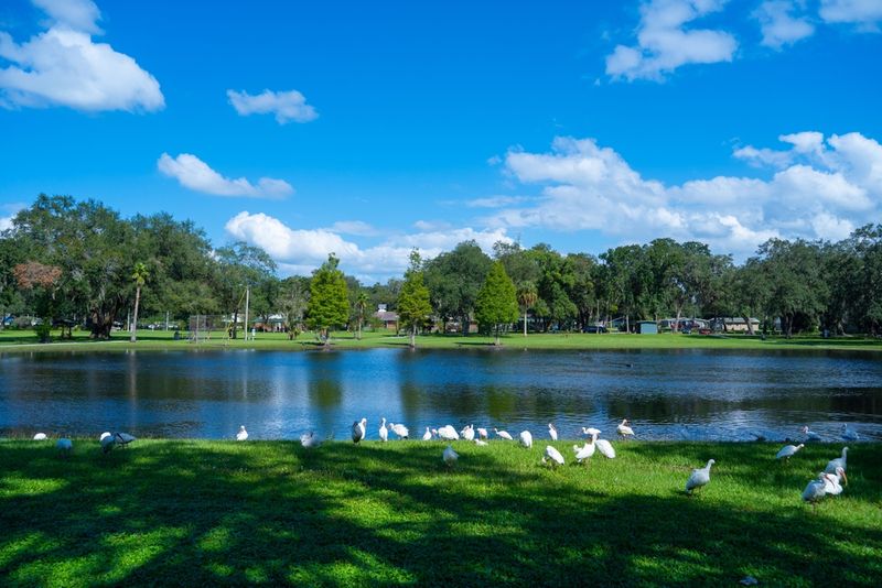 Zephyrhills: Your Gateway to Natural Florida