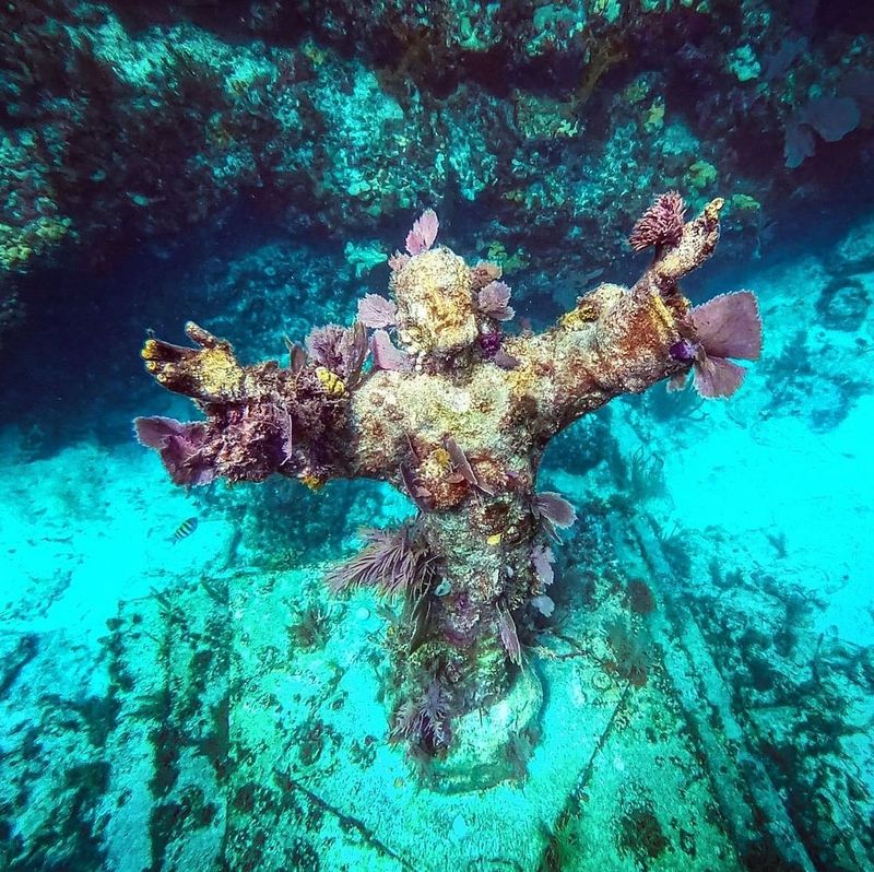 John Pennekamp Coral Reef State Park (Key Largo)
