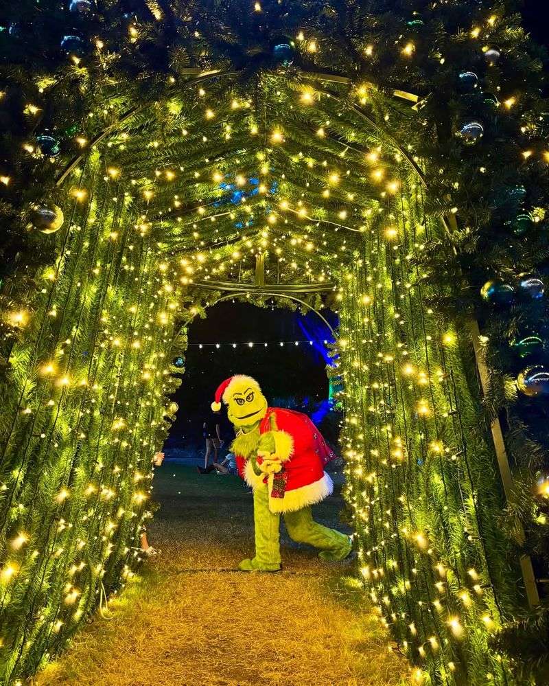Nights of Lights at Pinecrest Gardens