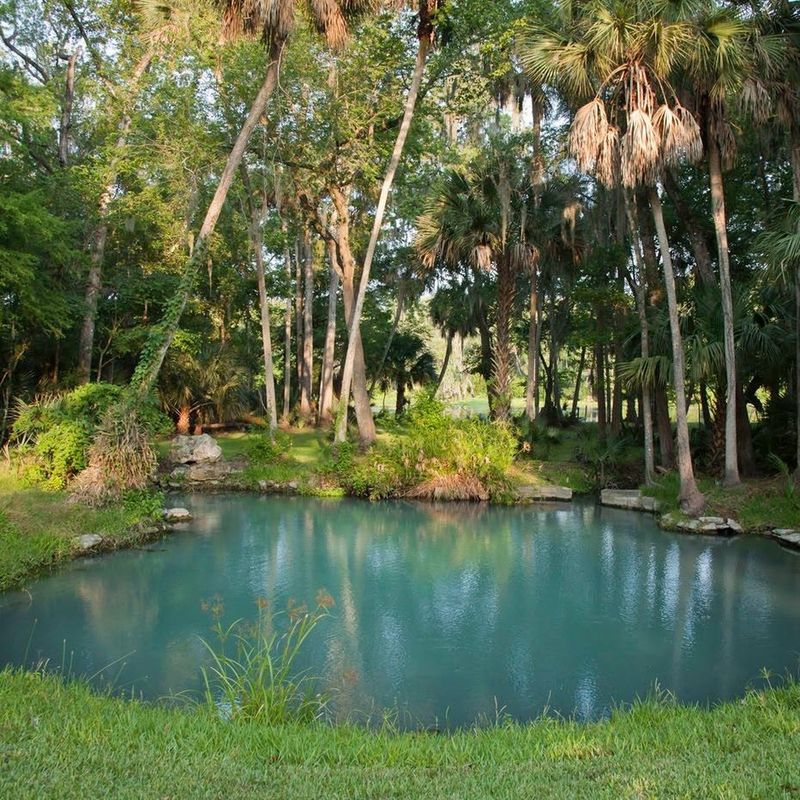 Wekiwa Springs State Park (near Orlando)