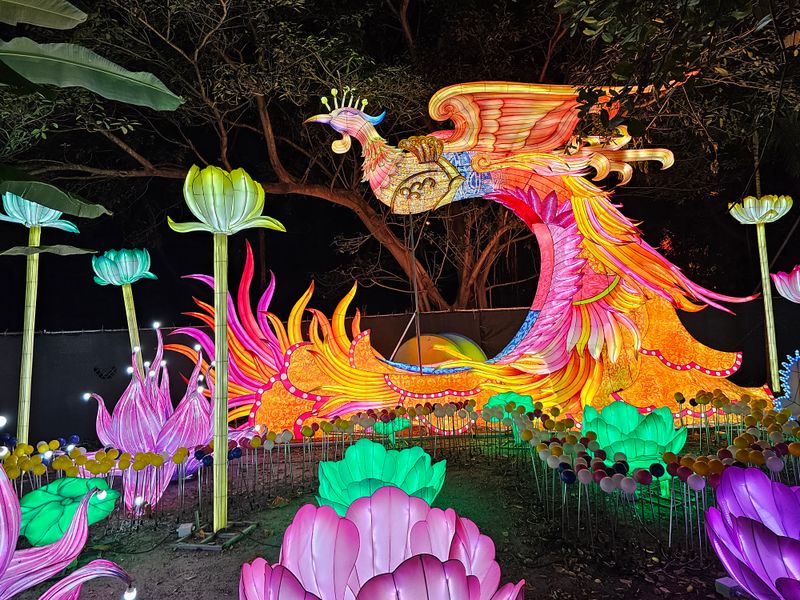 Luminosa: A Festival of Lights at Jungle Island