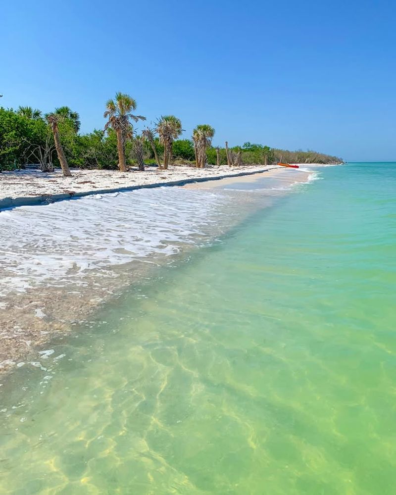Caladesi Island State Park (Dunedin/Clearwater area)