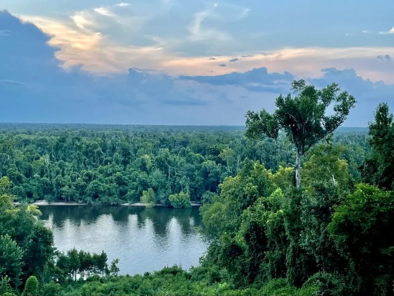 Torreya State Park (Bristol / Panhandle)