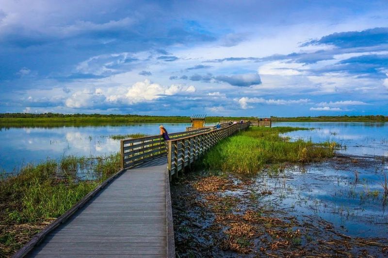 Myakka River State Park (Sarasota area)